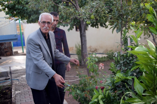 Bingöl'de ilk kez kivi yetiştirildi